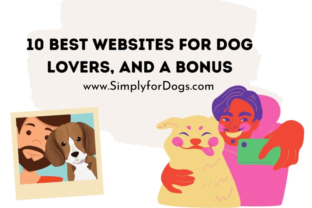 Best Websites For Dog Lovers - Simply For Dogs