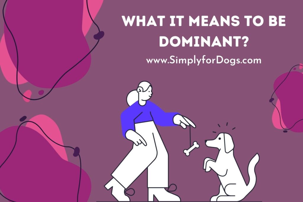 What it Means to Be Dog Dominant? Are You the Alpha? (Learn Before
