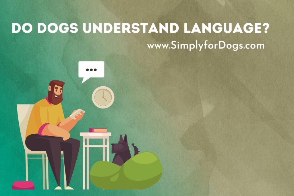 Do Dogs Understand Language? (Myths & Facts) Simply For Dogs