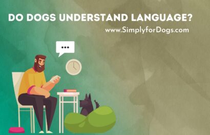 Dogs-Language