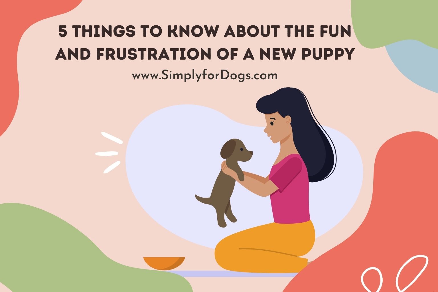 Fun of Puppy