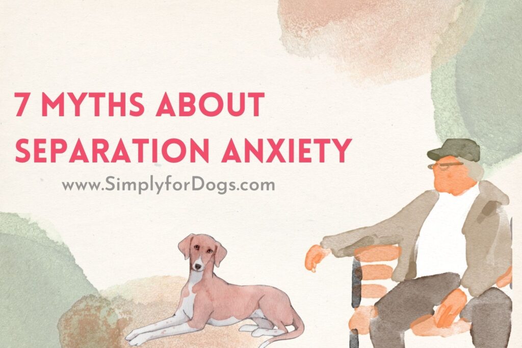 7-myths-about-separation-anxiety-the-solution-simply-for-dogs