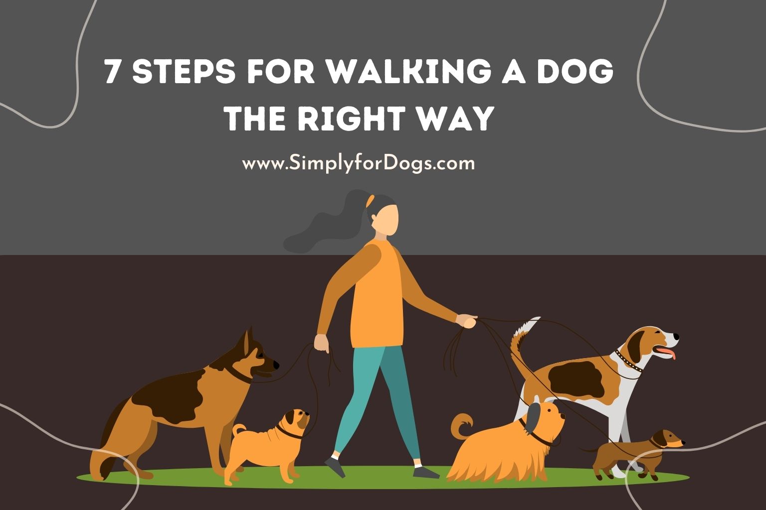 Steps For Walking A Dog The Right Way - (Dog's Exercise)