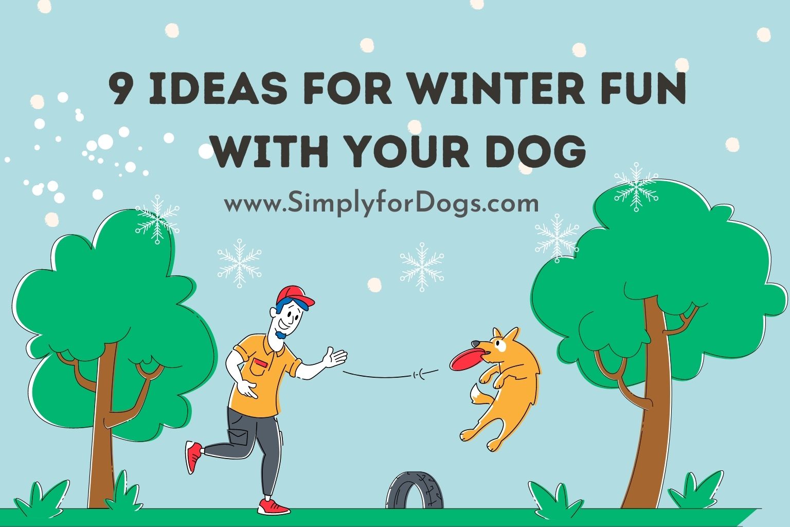 Winter Fun With Dog