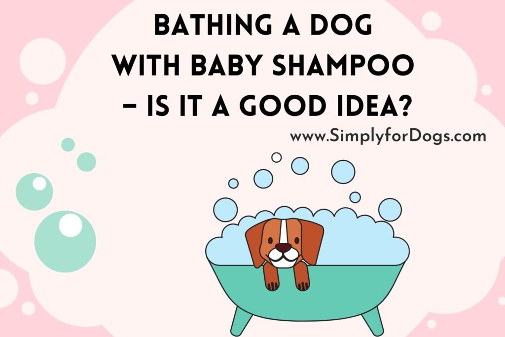 Bathing a Dog With Baby Shampoo Is it a Good Idea? (Right Ways to