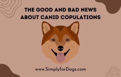 Canid Copulations