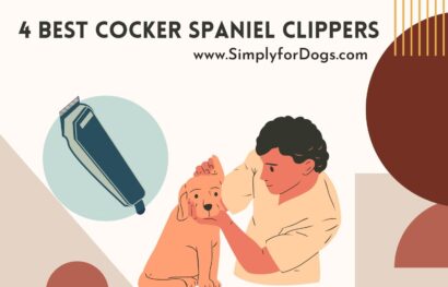 Cocker Spaniel Clippers