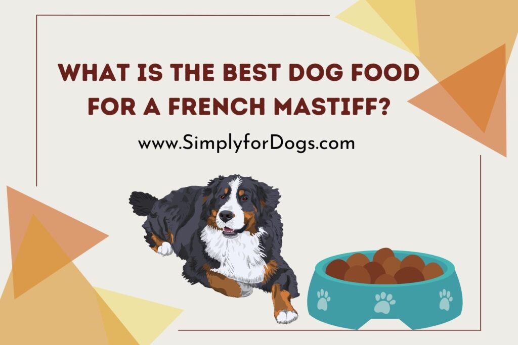 What Is the Best Dog Food for a French Mastiff? (Healthy Diet)