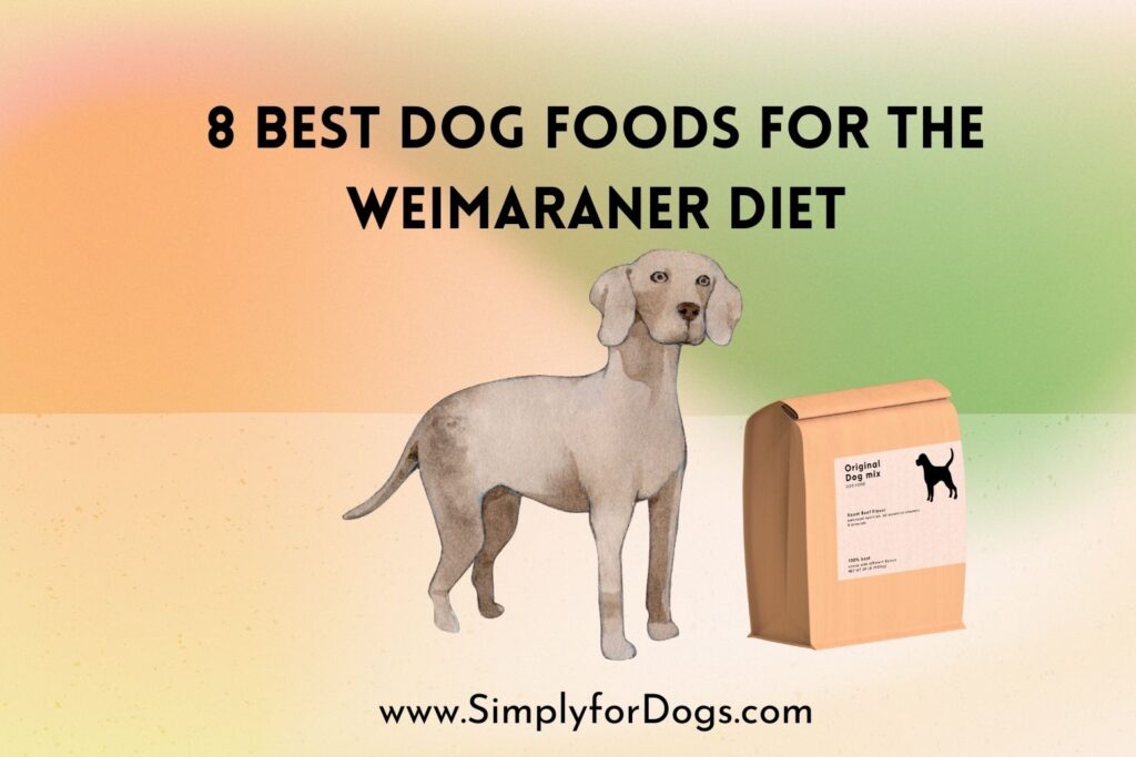 8 Best Dog Foods For the Weimaraner Diet (The Perfect One)