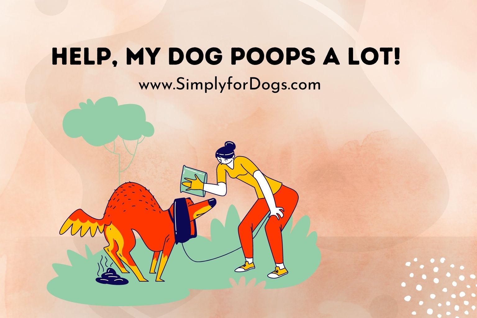 What Does It Mean If My Dog Poops A Little Blood