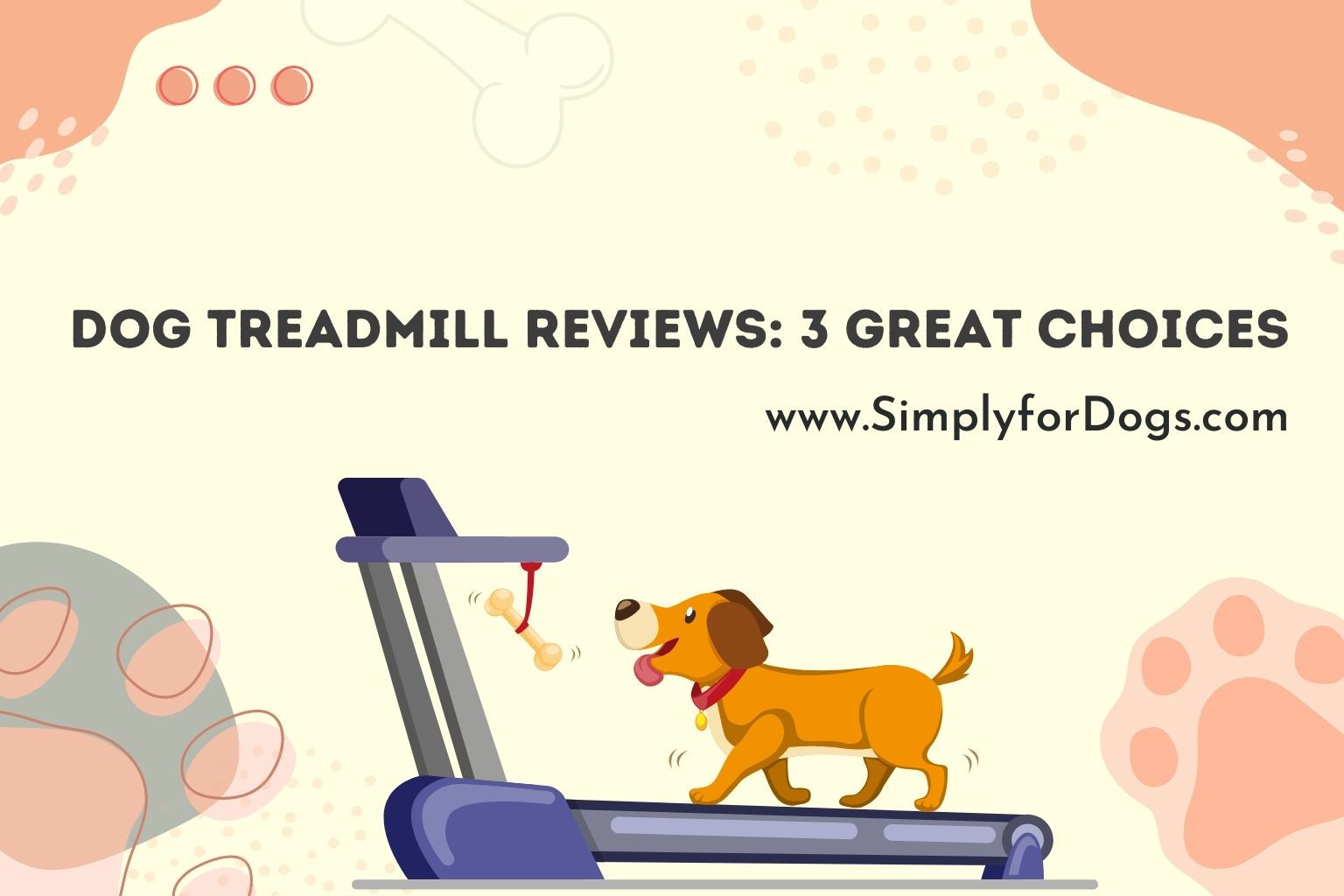 Dog Treadmill