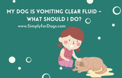 Dog Vomiting