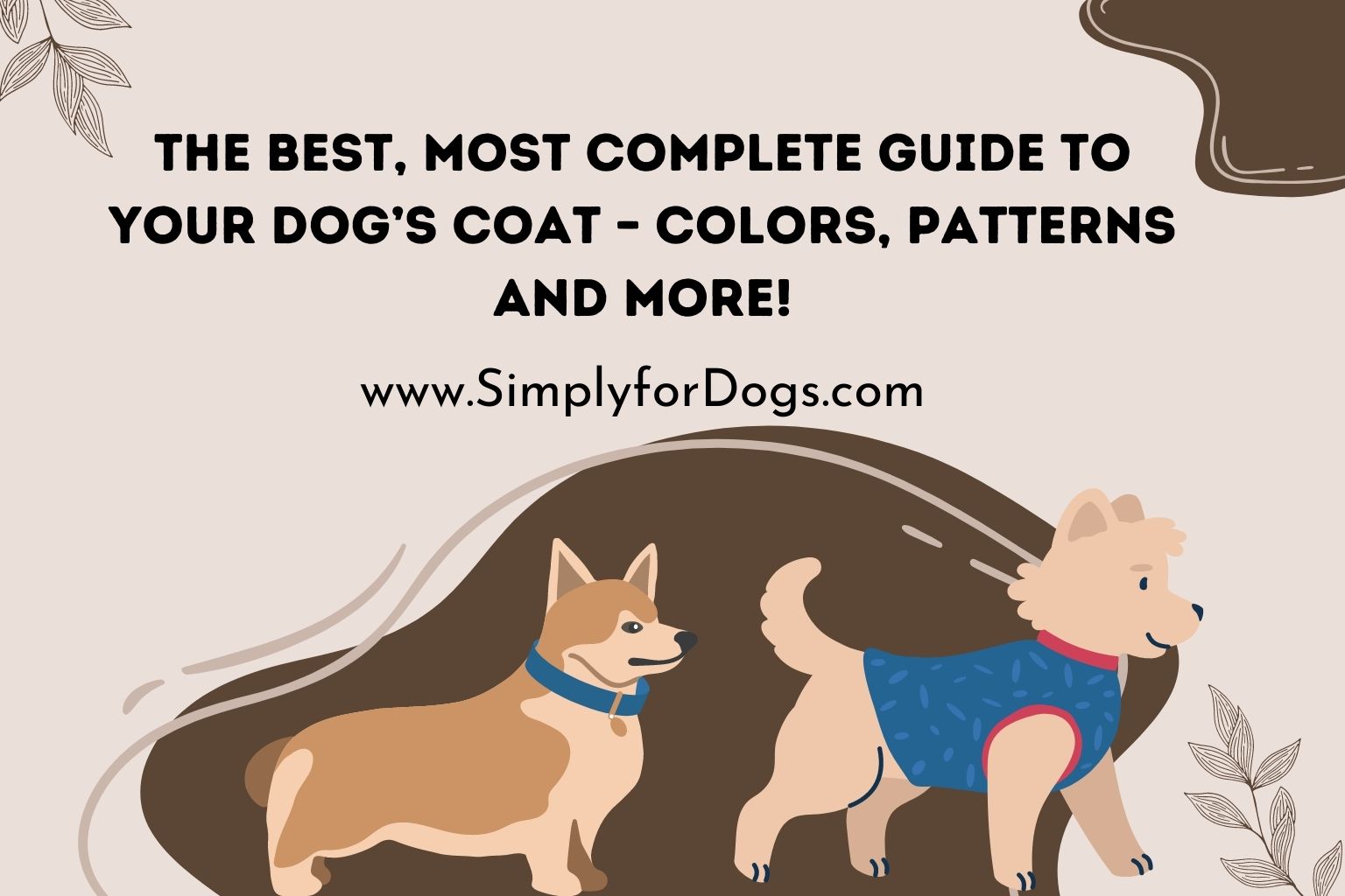 A Complete Guide To Your Dog's Coat Simply For Dogs