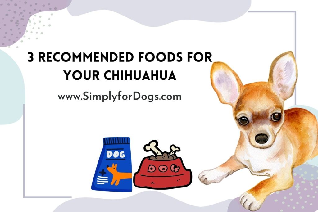 Foods For Your Chihuahua (Growth Helper) Simply For Dogs