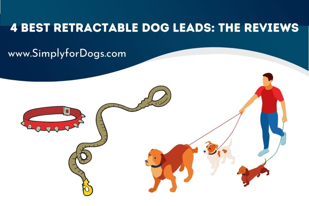 4 Best Retractable Dog Leads The Reviews (You Must Try) Simply For Dogs