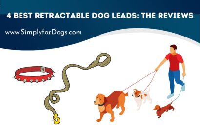 Retractable Dog