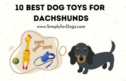 Toys Dachshunds