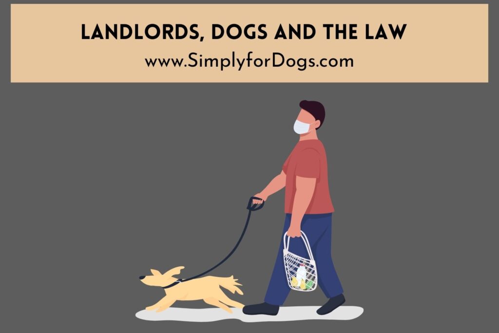 landlords-dogs-and-the-law-why-this-is-important-simply-for-dogs