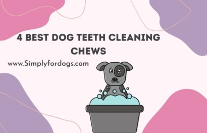 4-best-dog-teeth-cleaning-chews