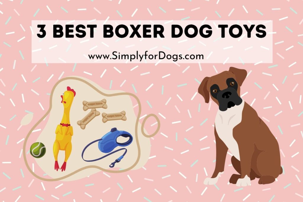 The Best Boxer Dog Toys (Perfect for Entertainment) Simply For Dogs
