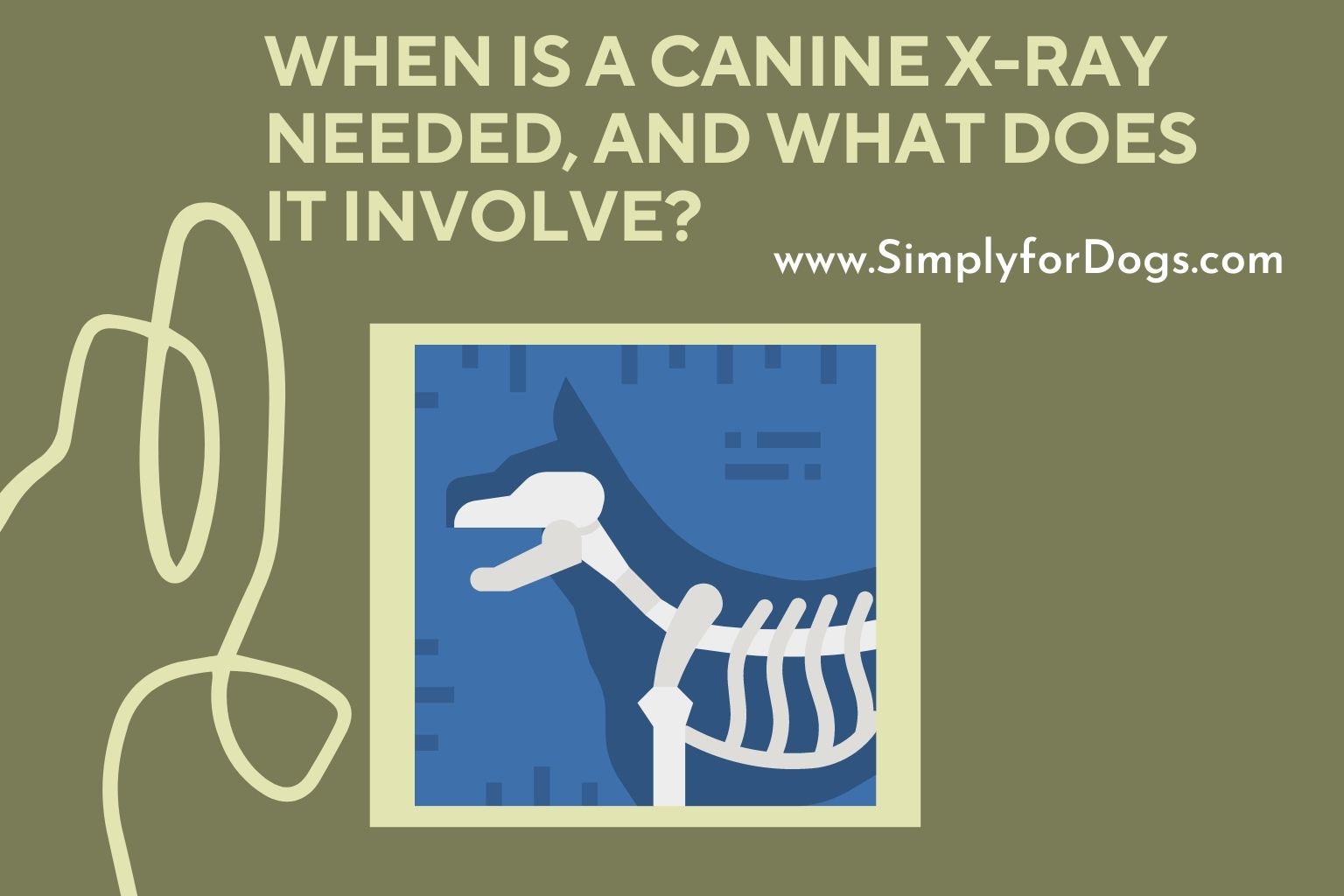 when-is-a-canine-x-ray-needed-and-what-does-it-involve-you-should