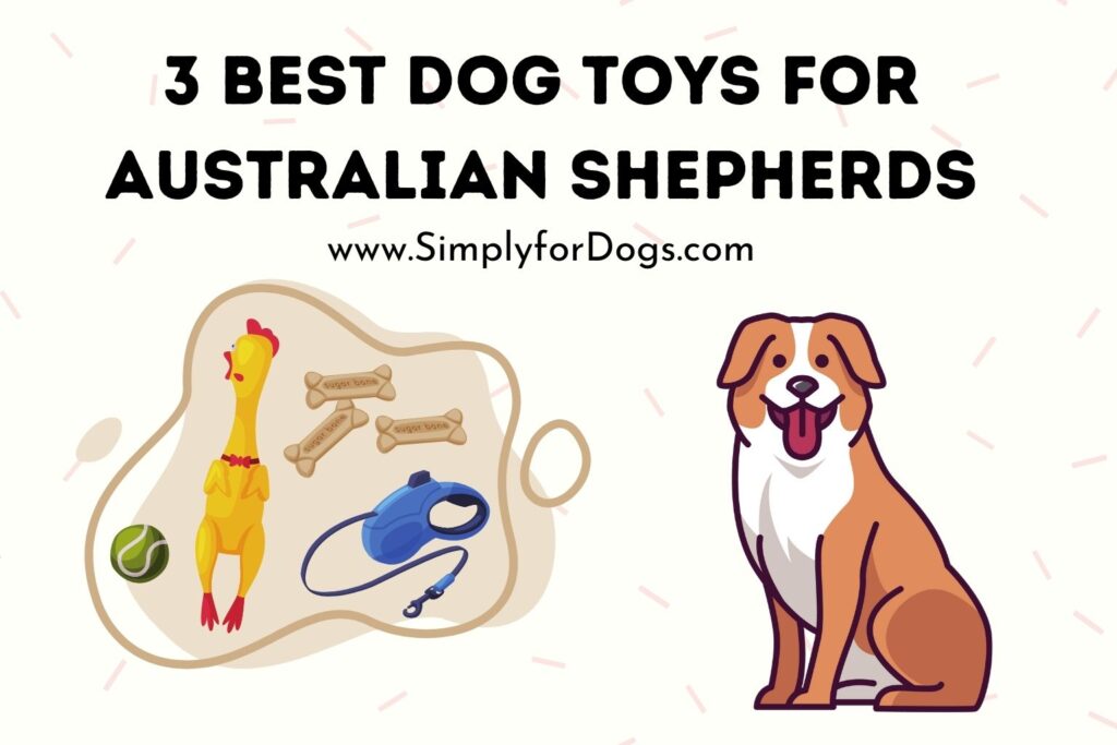 Best Dog Toys For Australian Shepherds (Make Them Happy) Simply For Dogs