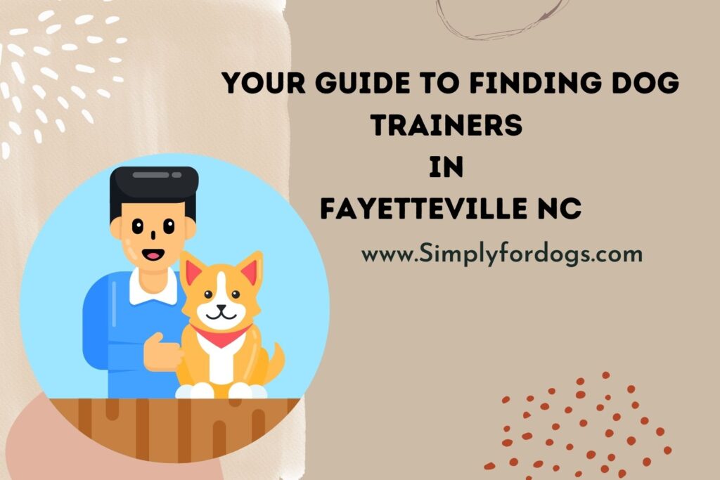 A Guide To Finding Dog Trainers In Fayetteville NC (Budget Friendly)