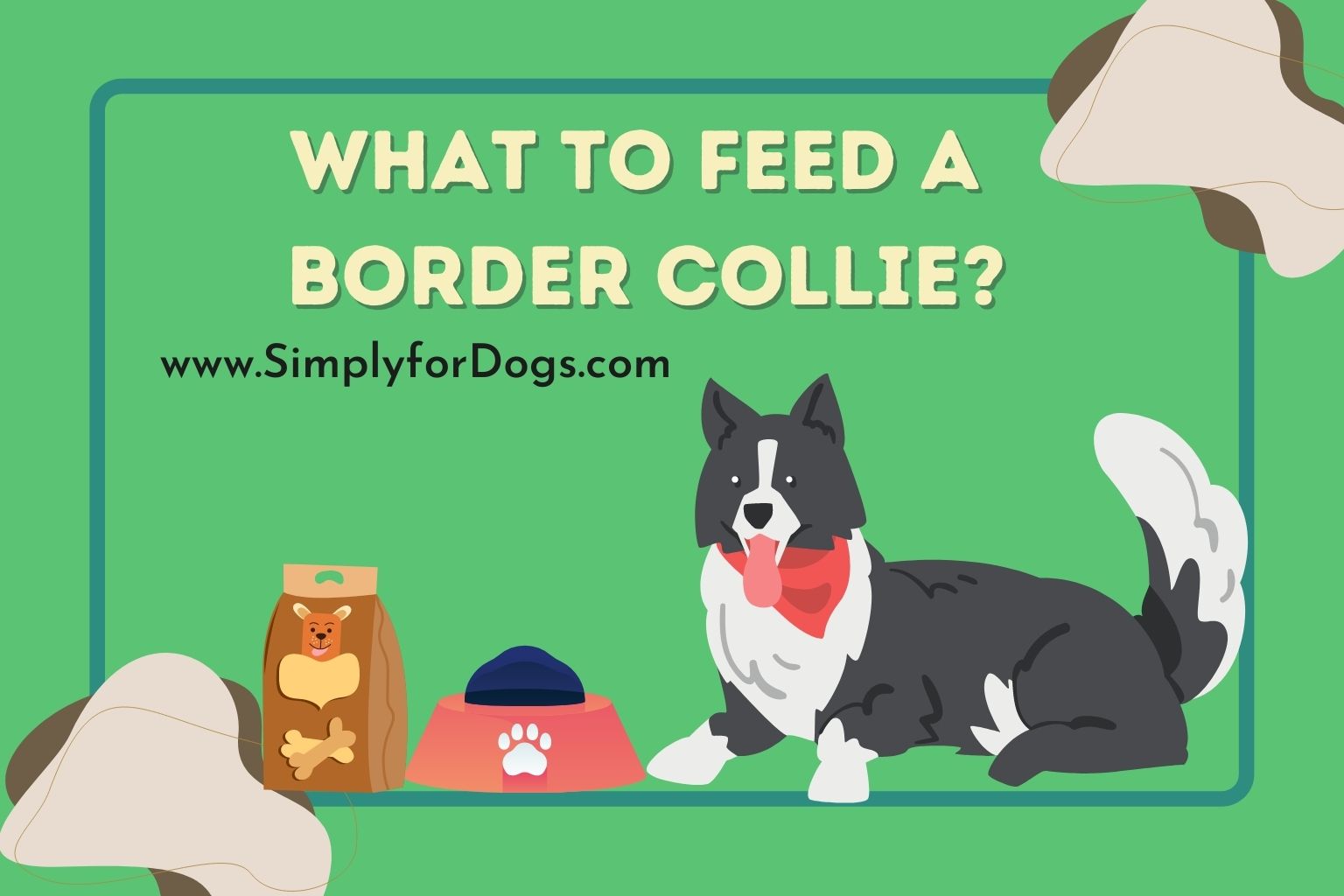 What to Feed a Border Collie (The Perfect Diet) Simply For Dogs