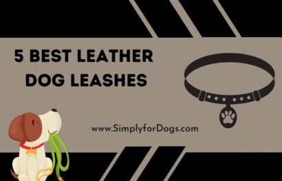 Leather Dog Leashes