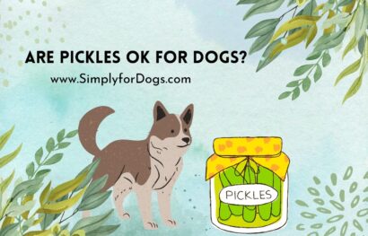 Pickles ok for Dogs