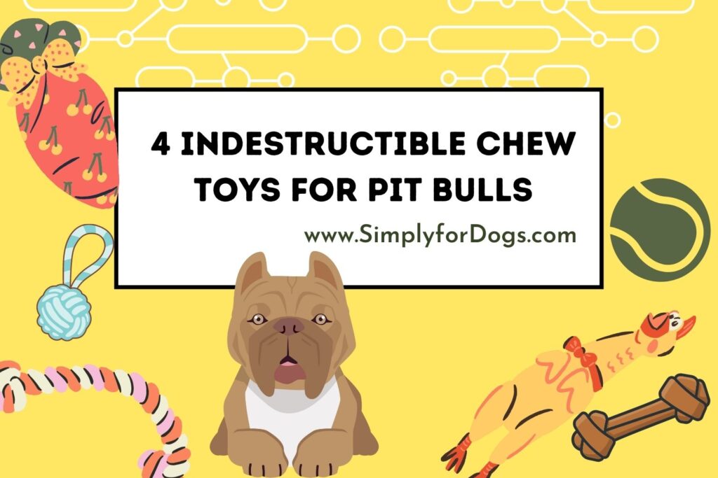 toughest chew toys for pit bulls