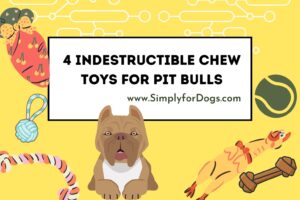 durable chew toys for pit bulls