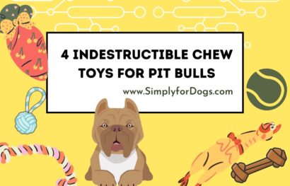 Pit Bulls Toys