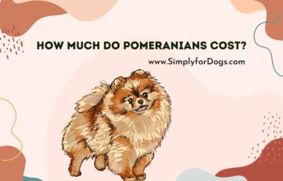 Pomeranians