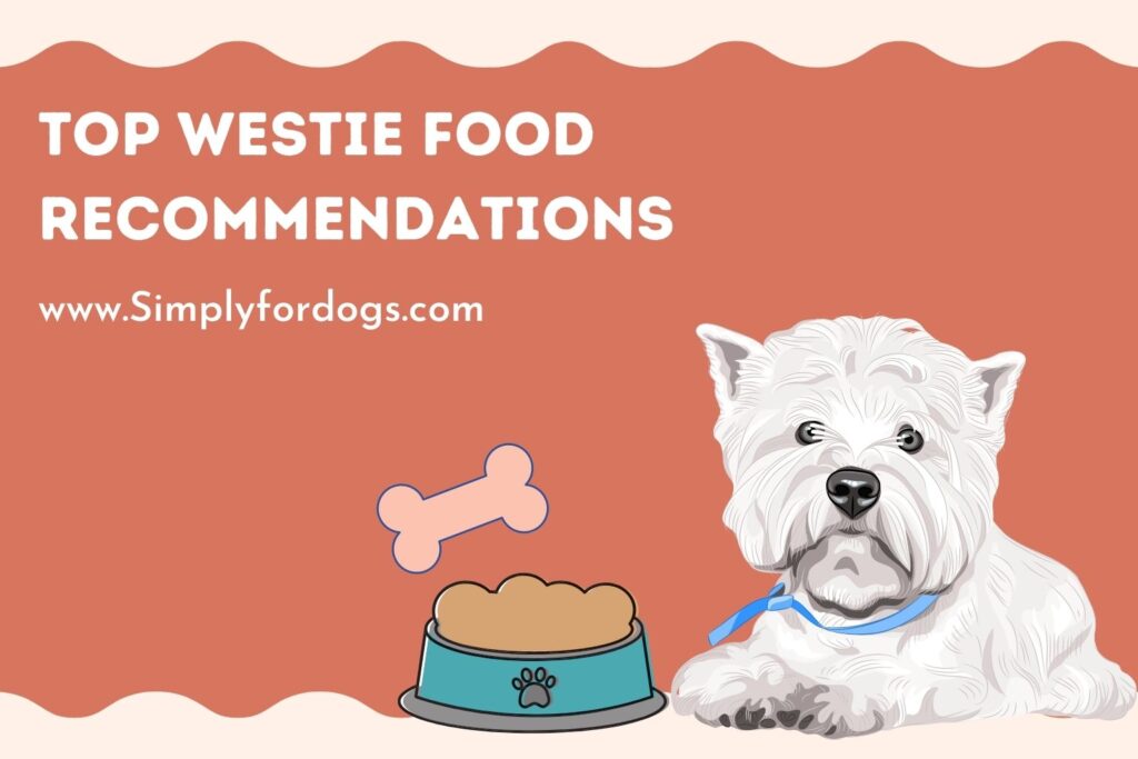 Top Westie Food (What Experts Suggest)