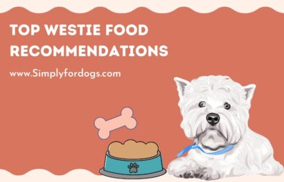 Westie-Food