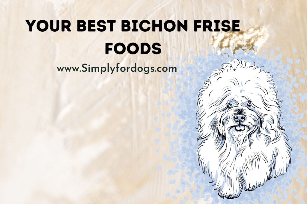Best Bichon Frise Foods (Perfect Diet) Simply For Dogs
