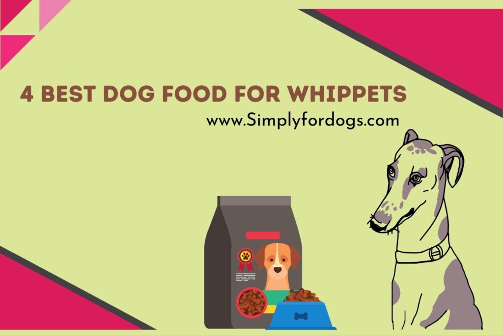 Finding the Best Dog Food For Whippets (Growth Helper) Simply For Dogs
