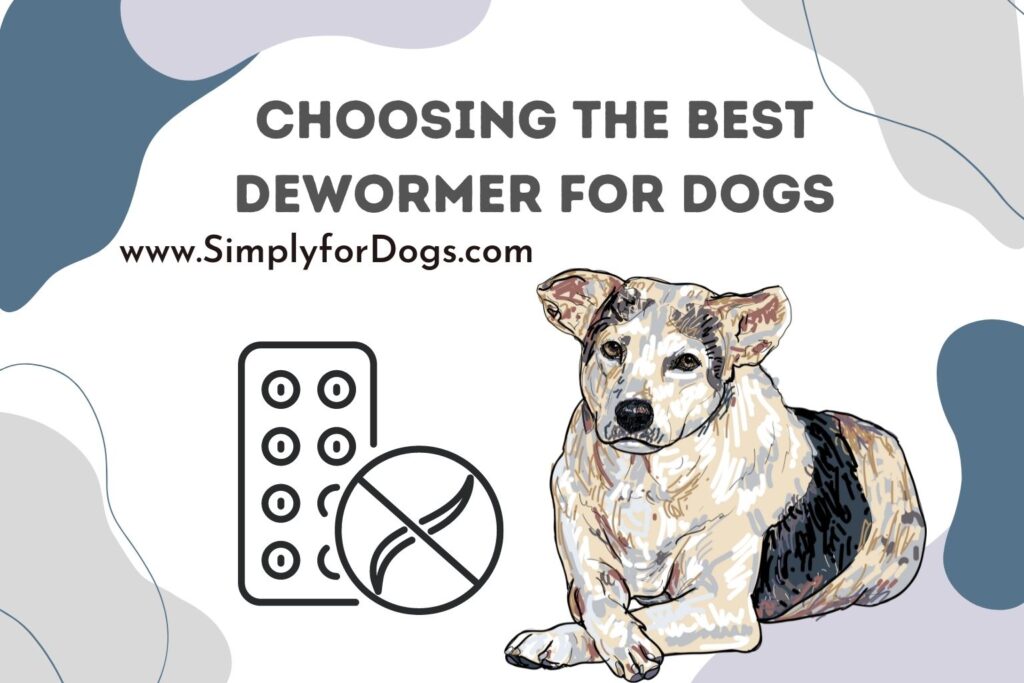 Choosing the Best Dewormer for Dogs - (A Permanent Solution)