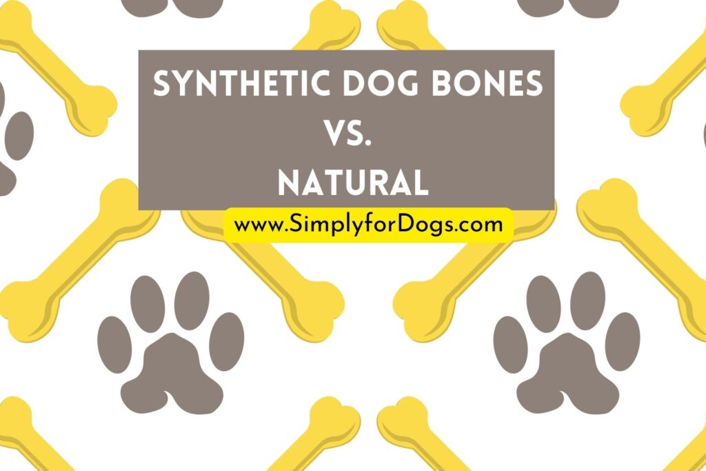 synthetic-dog-bones-vs-natural-which-one-to-choose