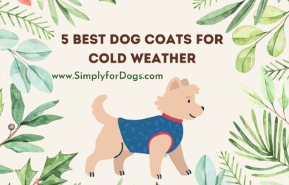 Dog Coats