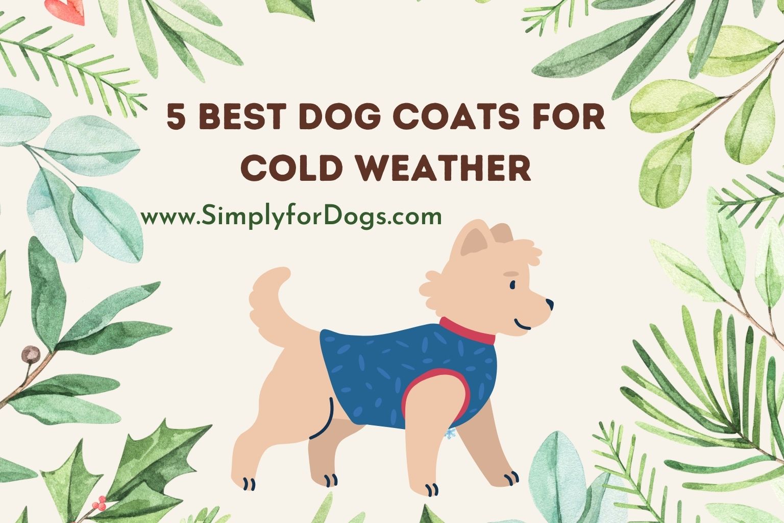 Dog Coats