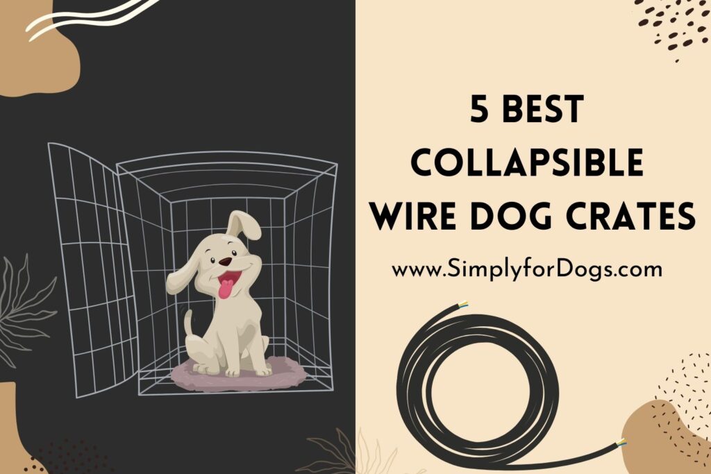 Best Collapsible Wire Dog Crates (Useful Ones) Simply For Dogs