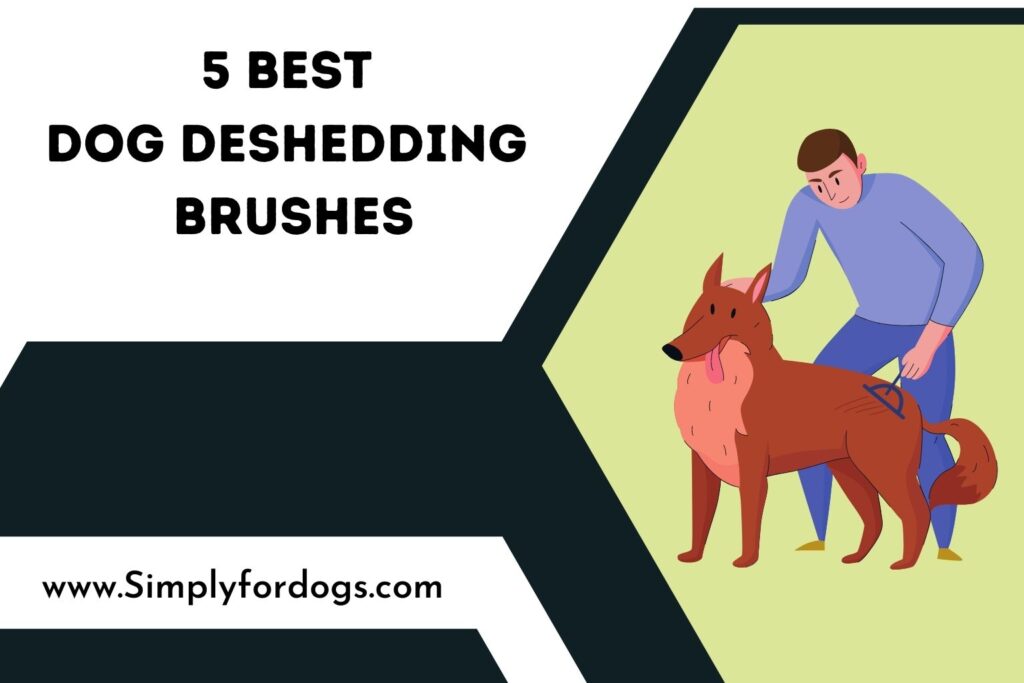 5 Best Dog Deshedding Brushes (For Best Care) Simply For Dogs