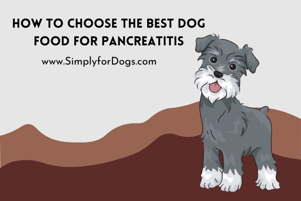 How to Choose the Best Dog Food for Pancreatitis? (No More Worries)
