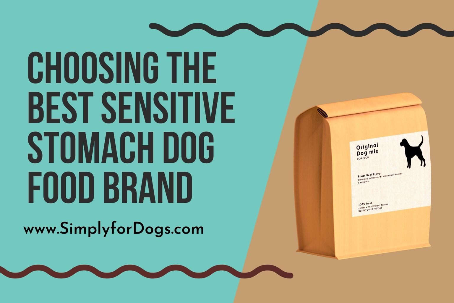 Choosing the Best Sensitive Stomach Dog Food Brand - (Best in The Market)