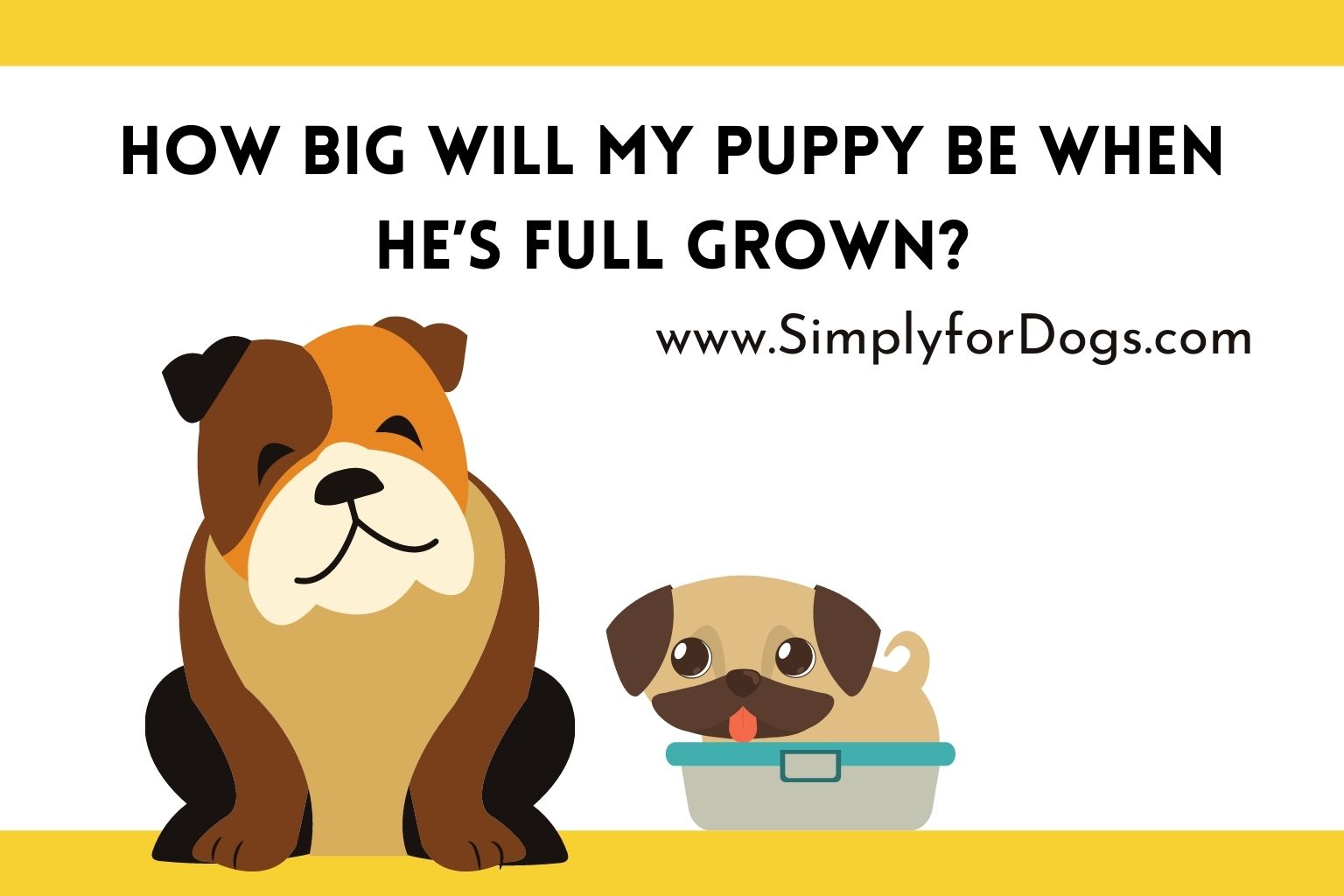 how-big-will-my-puppy-be-when-he-s-full-grown-about-growth