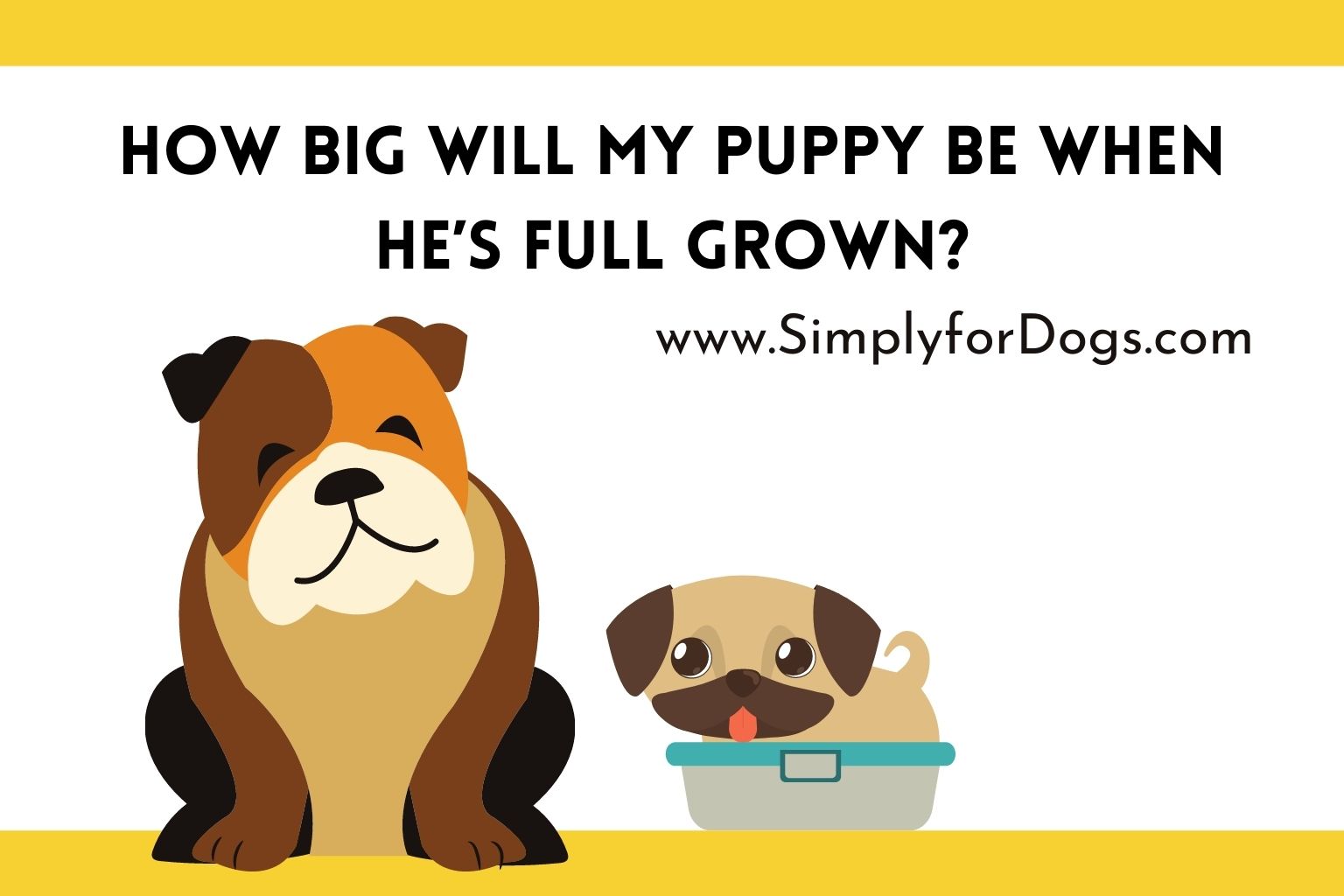How Big Will My Puppy Be When He s Full Grown About Growth 