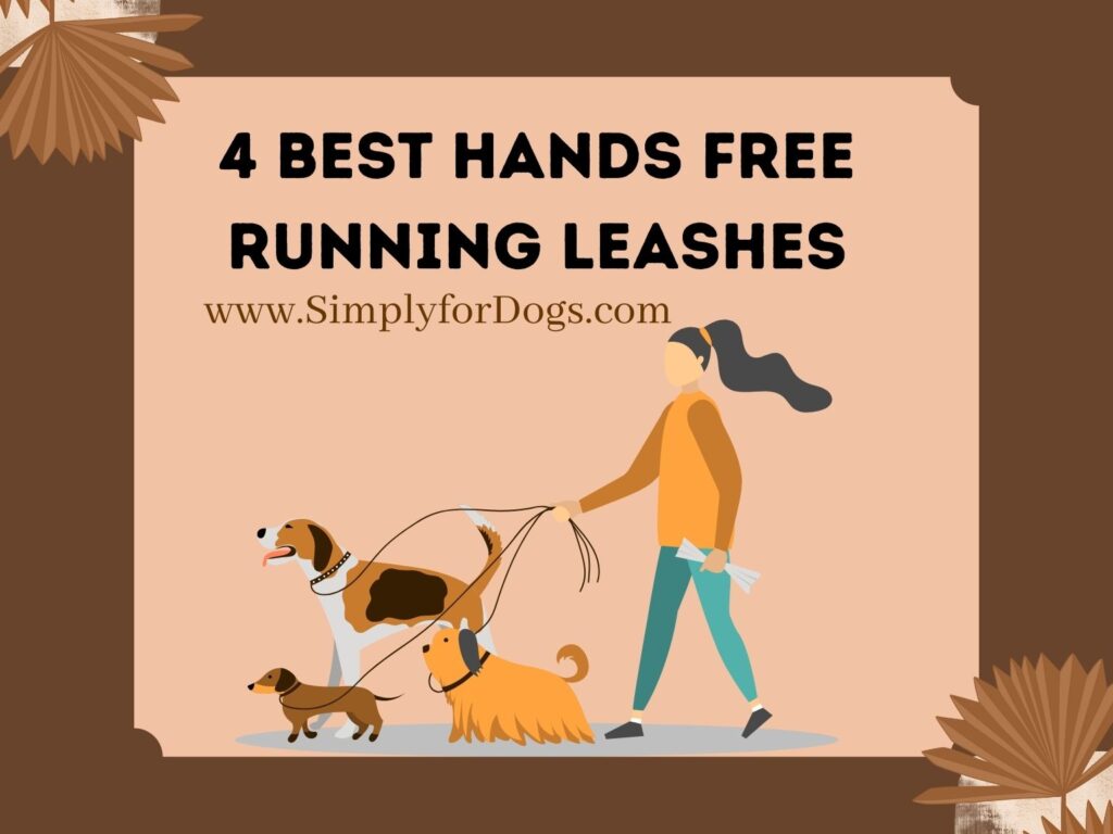Best Hands Free Running Leashes (You Must Like Them)