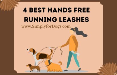 Hands Free Running Leashes